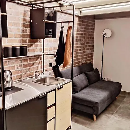 公寓 Testaccio Industrial Loft